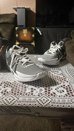 Brand new LeBron James witness 7’s size 10