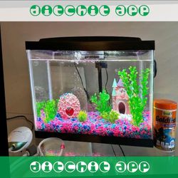 Ready-Made Aquarium Kit - Explore Underwater Beauty time position