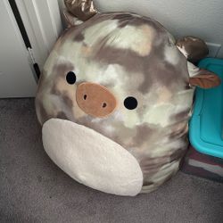 Squish Pillow