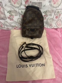 Louis Vuitton  Palm Springs mini bag