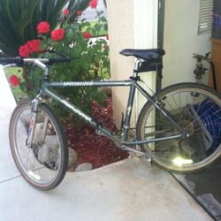 Specialized Mountain Bike 