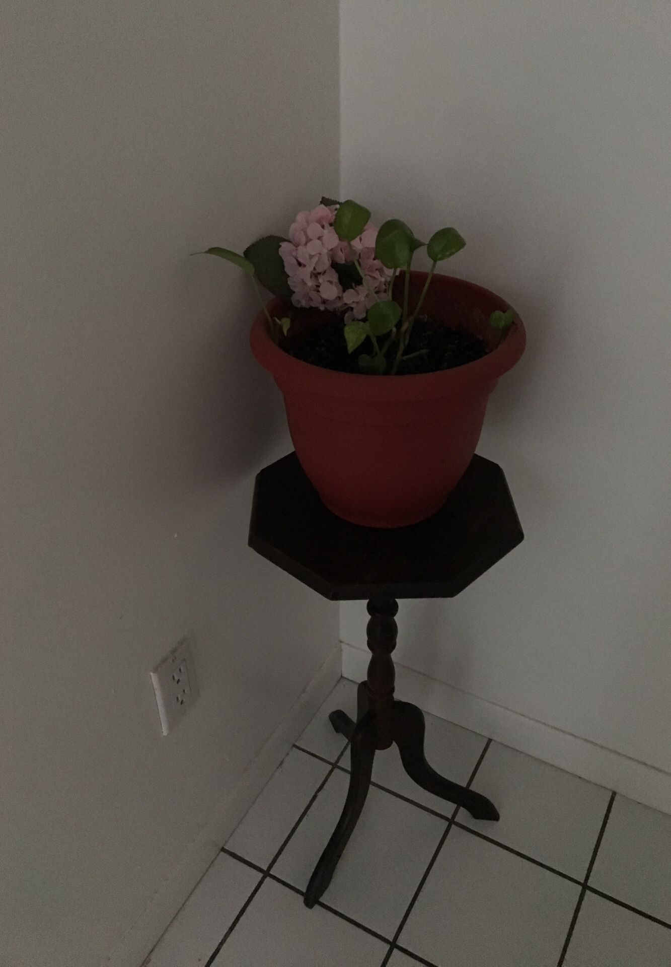 Pot plant and table for $20