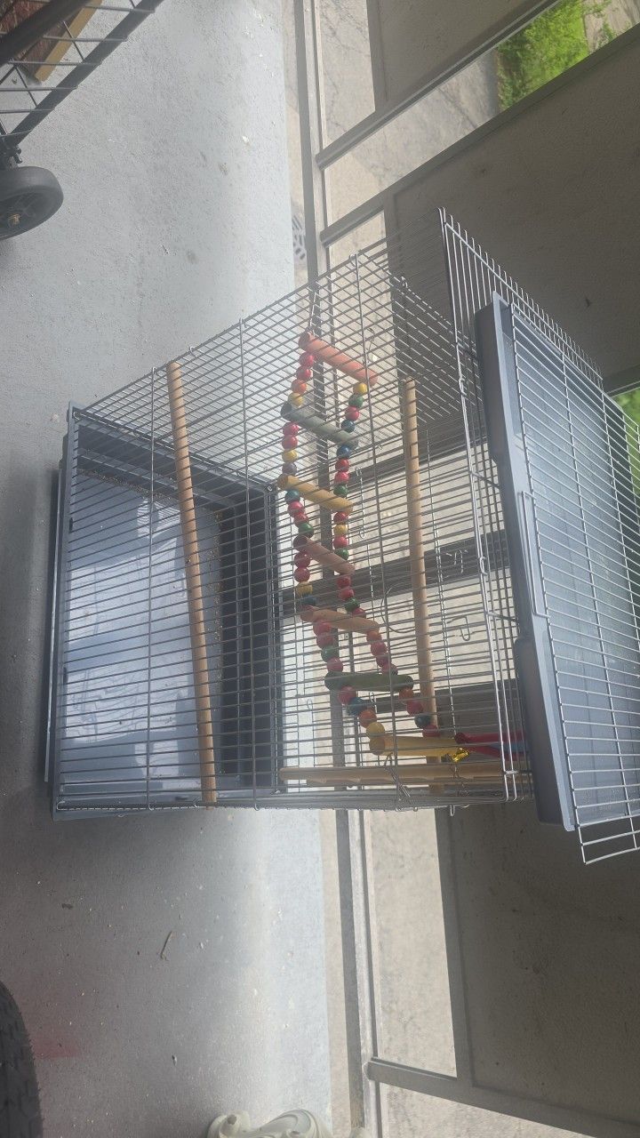 Cage For Birds