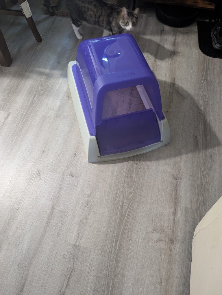Scoopfree Automatic Self Cleaning Cat Litterbox