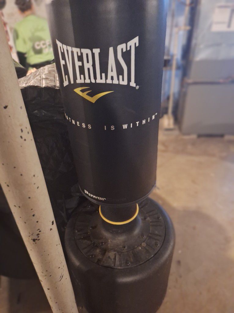 Everlast Water Filled Punching Bag