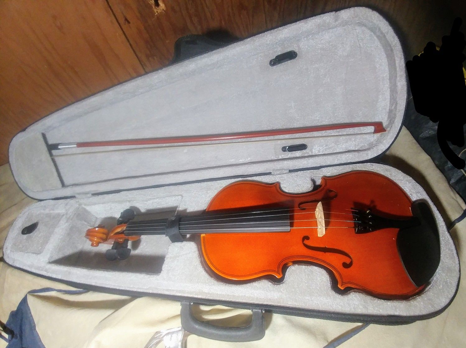 Violin