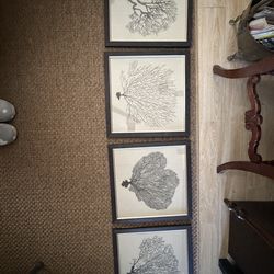 Nautical coral wall  set of 4