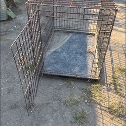 Dog Cage