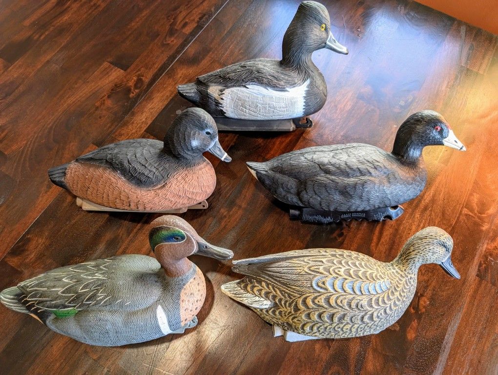 Duck Decoys 