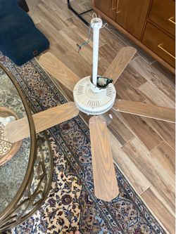 Free Fan with lights