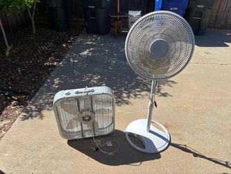 Fan