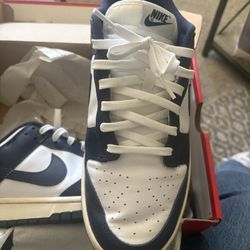 Nike Blue Dunks