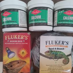 Reptile accessories. 