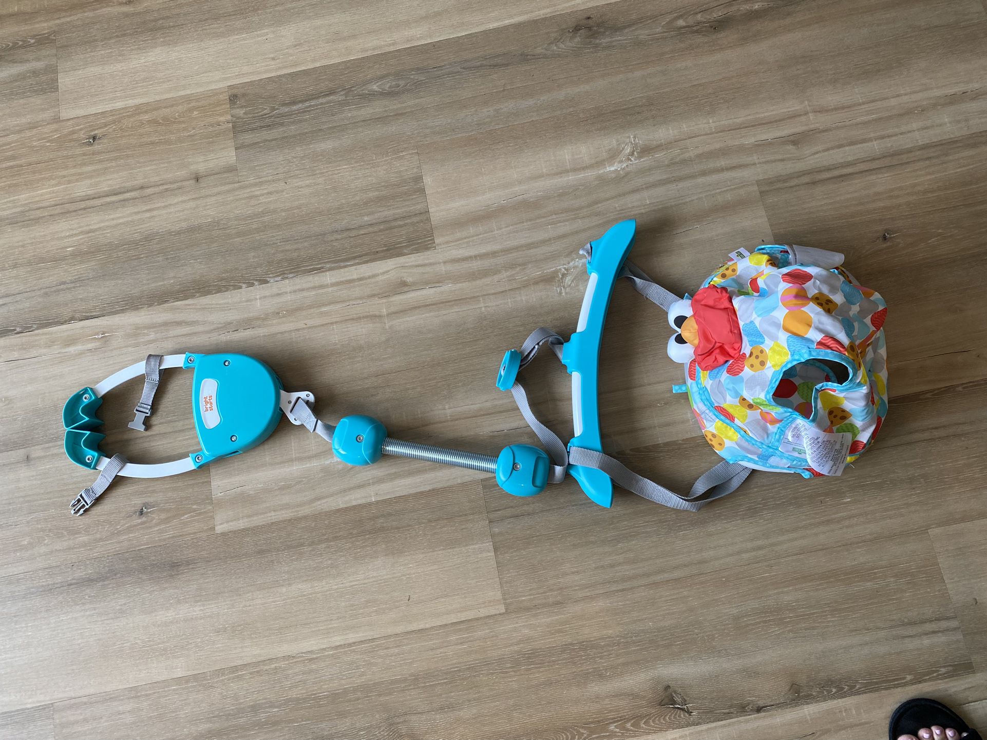 Bright Starts Baby Bouncer 