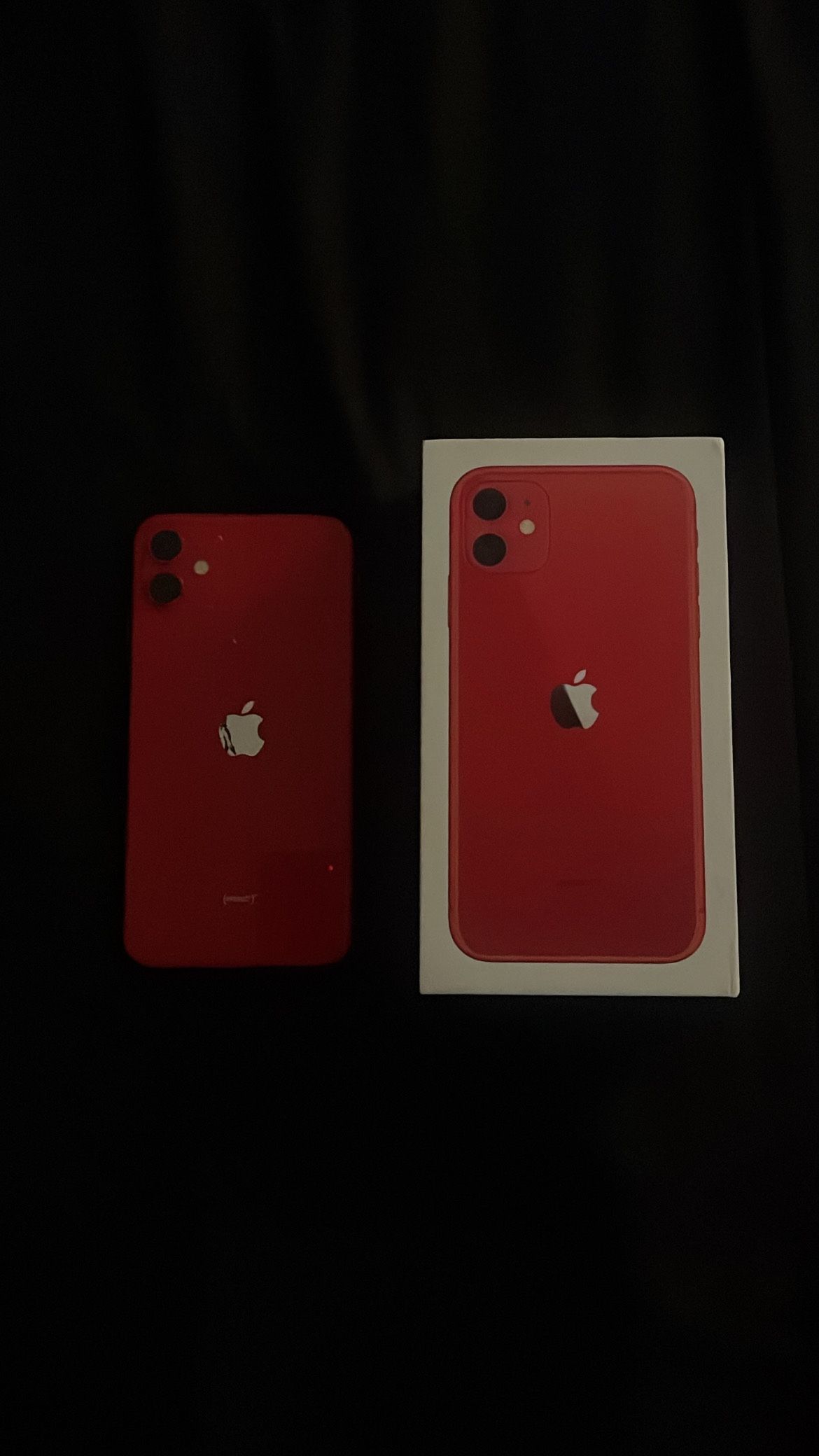 iPhone 11 With TikTok