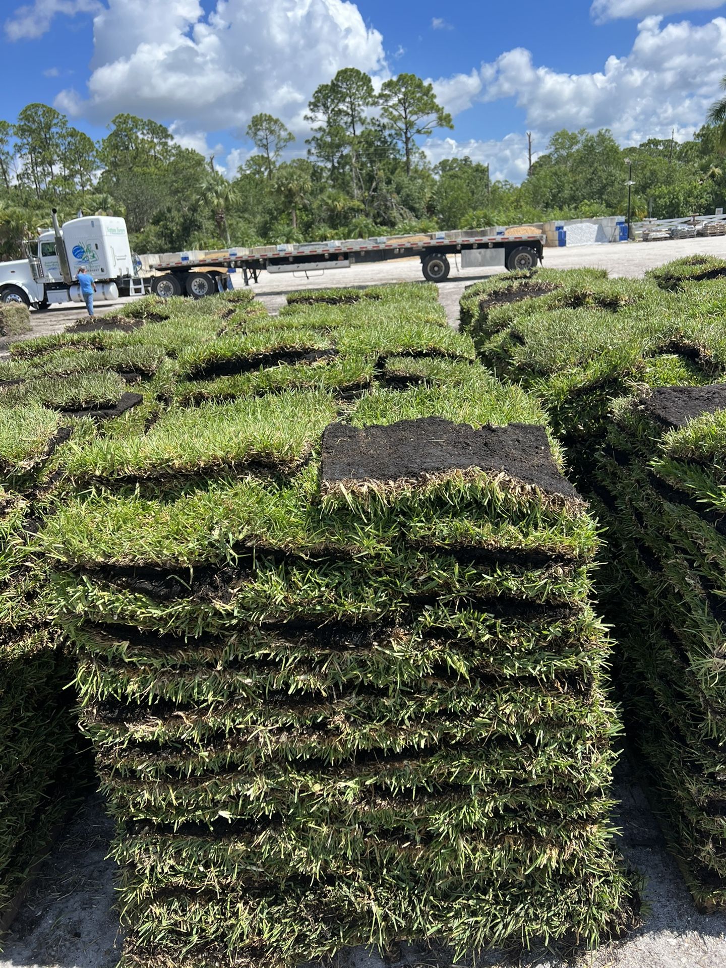 SOD Pallets For Sale!! Sun & Shade Grass!! Pick Up Or Delivery!! for Sale in Hobe Sound, FL