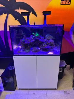 Red Sea Reef Aquarium with White Cabinet Stand