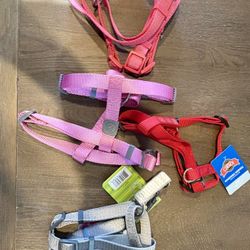 Huge Dog Lot 72 Items 