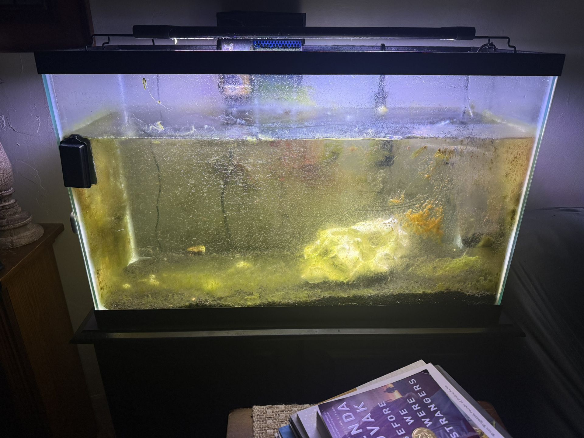 Fish Tank
