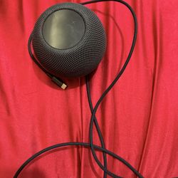 Apple Home Pod