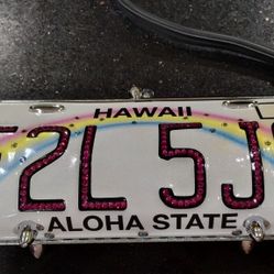 Little Earth License Plate Purse