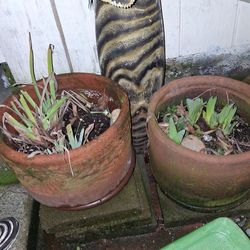 Can you be that time of the year yard season