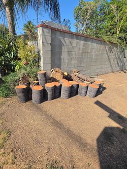 Natutal plant stands for Garden Decoration (Delivery available for an extra fee Depending on location)