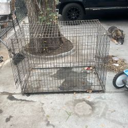 Large dog crate