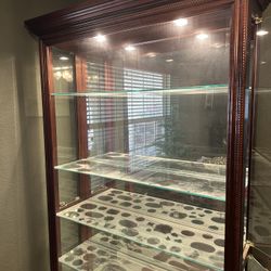 Lighted Curio Cabinet 