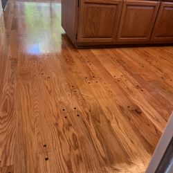 Vinyl Laminate Hardwood Flooring Refinish Beisboard