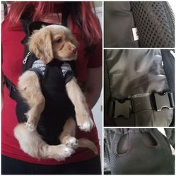 Pet Carrier And Harness Carrier