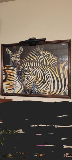 PICTURE OF ZEBRA 24X19 NICELY FRAMED/PUZZLE