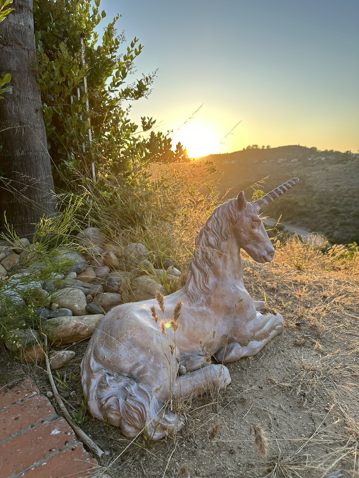 Magical Unicorn Garden Statue for Sale in San Diego, CA OfferUp