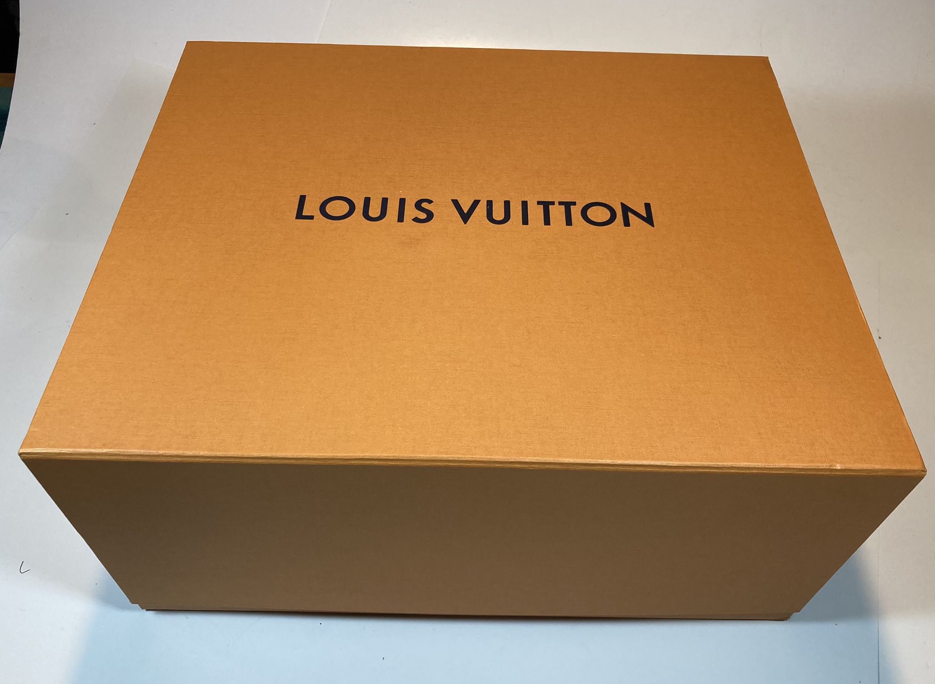 Louis Vuitton Large Magnetic Box LV for Sale in Tigard, OR - OfferUp