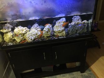 Fishtank