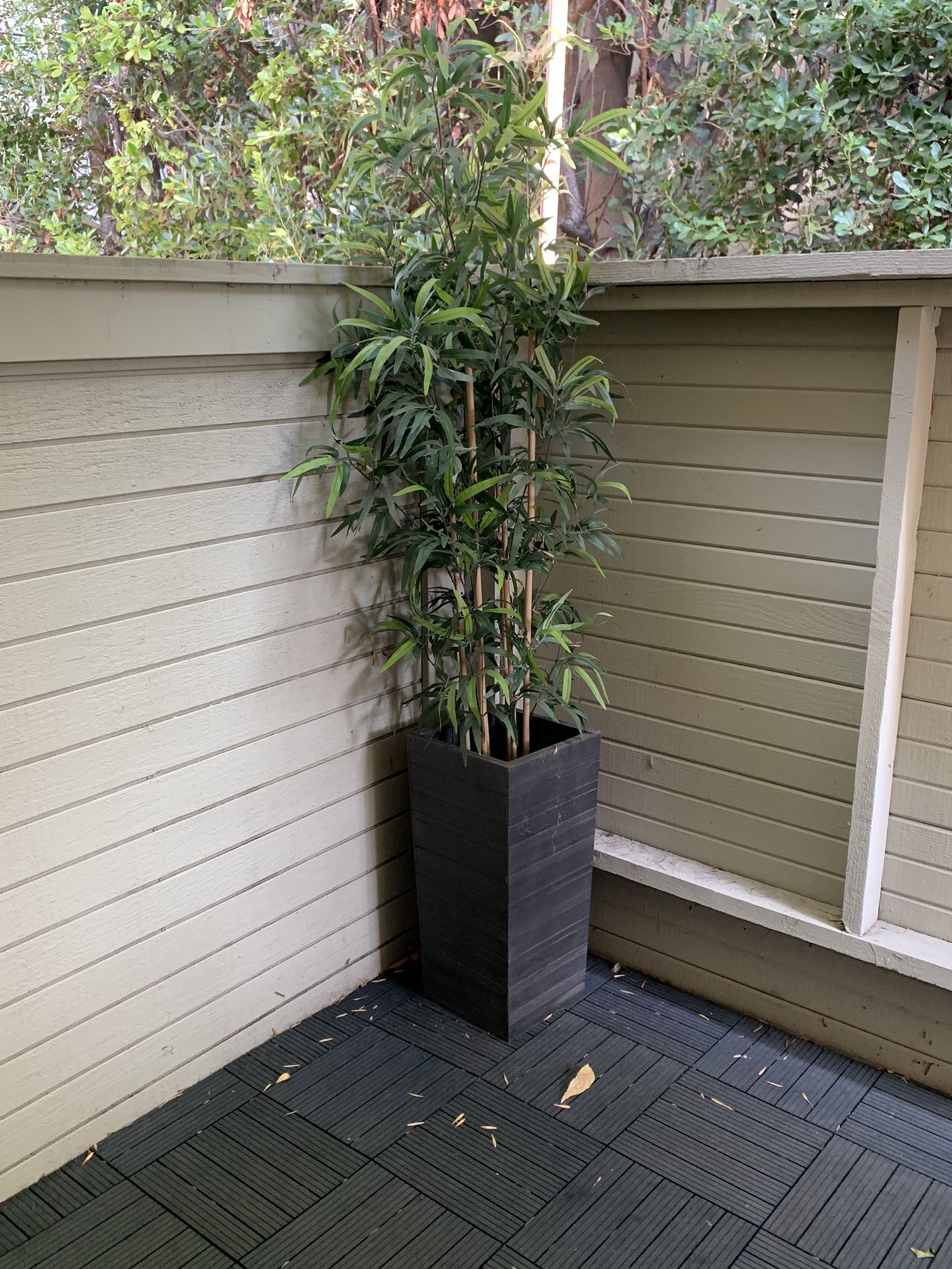 Bamboo Plant 🌱 (fake) with base