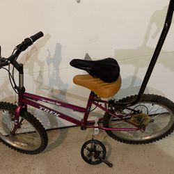 12”/30cm Trek Mountain Lion kid’s Scooter Bike