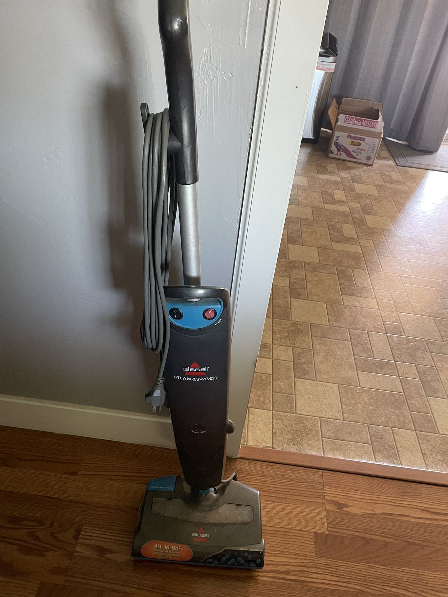 Bissel Steam Cleaner