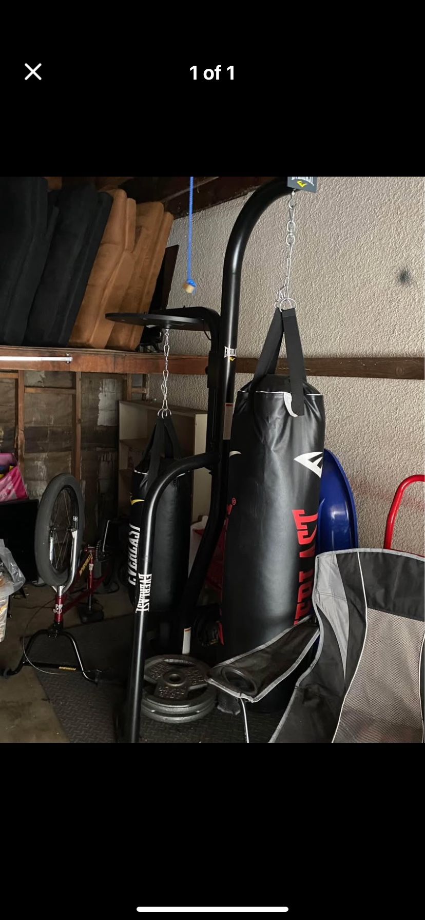 Everlast Punching Bag