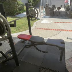 Weider Pro Bench Press Weightlifting  Olympic 