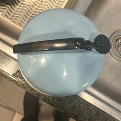 Vintage 2 ½ Quart Whistling Tea Kettle Ducks Light Blue