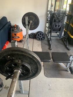 Bench press, dumbbells, rack