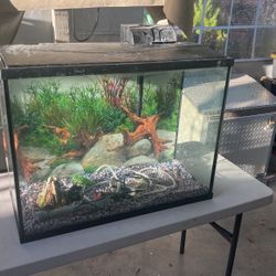 30 Gallons Fish Tank 