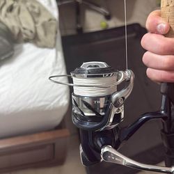 6000 twin power on fenwick rod