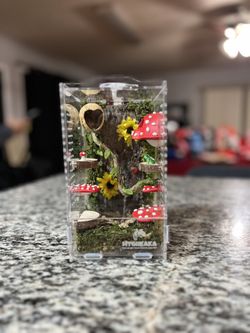 Whimsical Mushroom Fairy Jumping Spider Enclosure