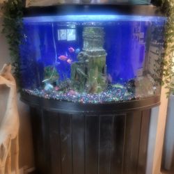 Corner Fish Tank