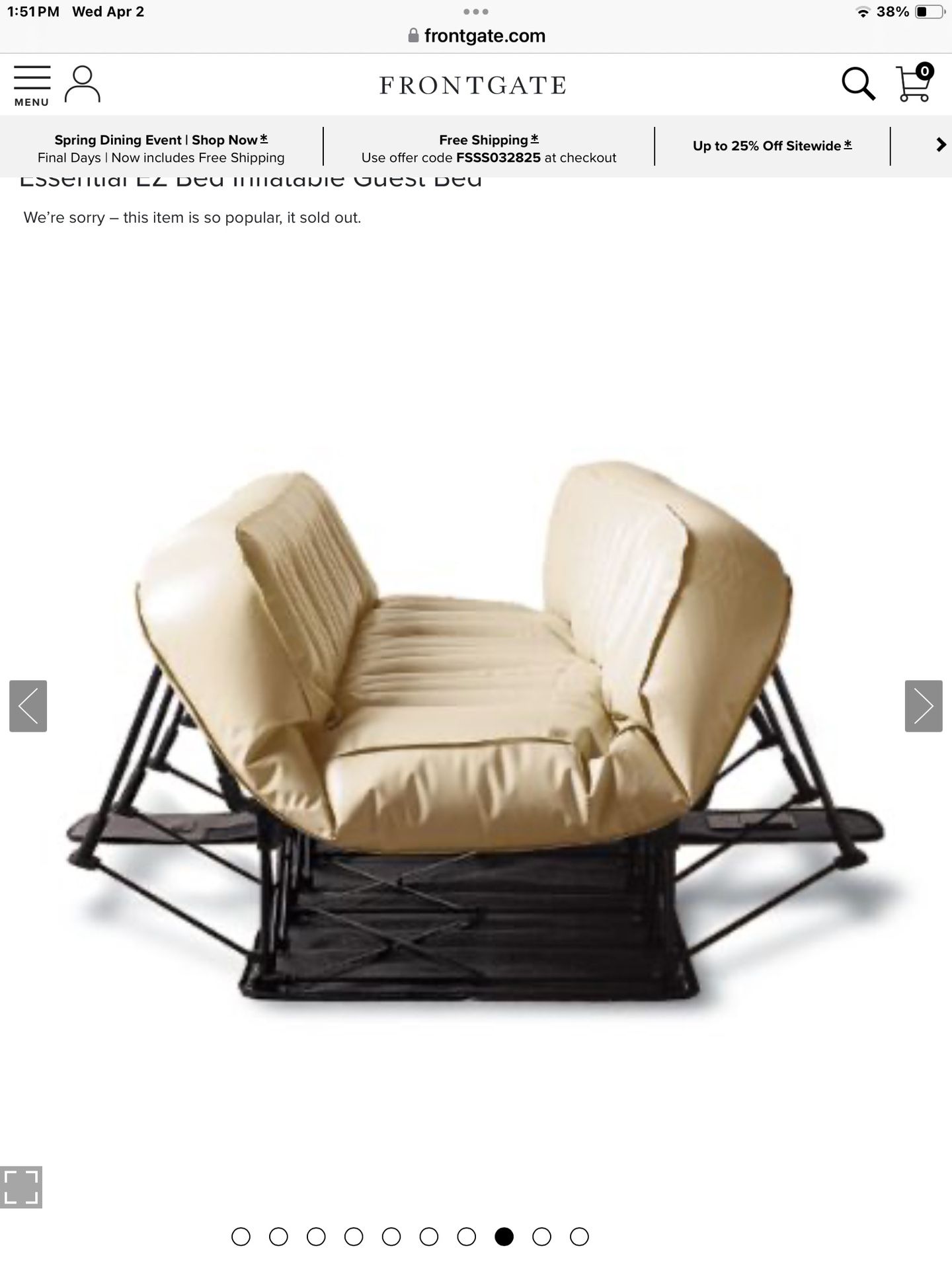 Frontgate Inflatable Queen Bed