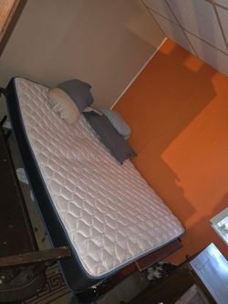 Standard Bed with Frame with Mattress