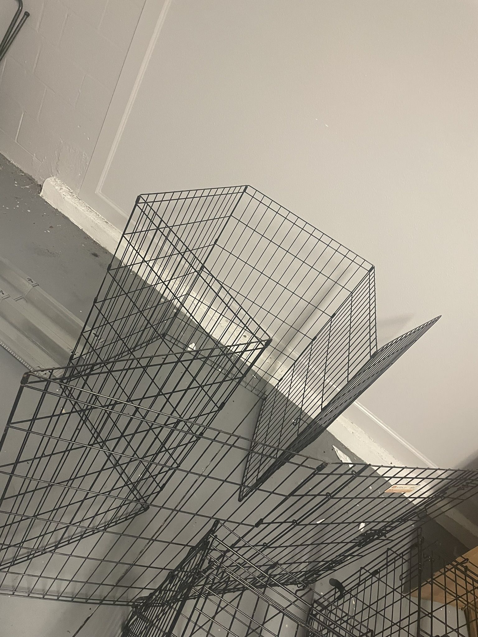 Dog Pen