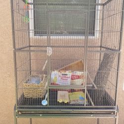 Bird Cages